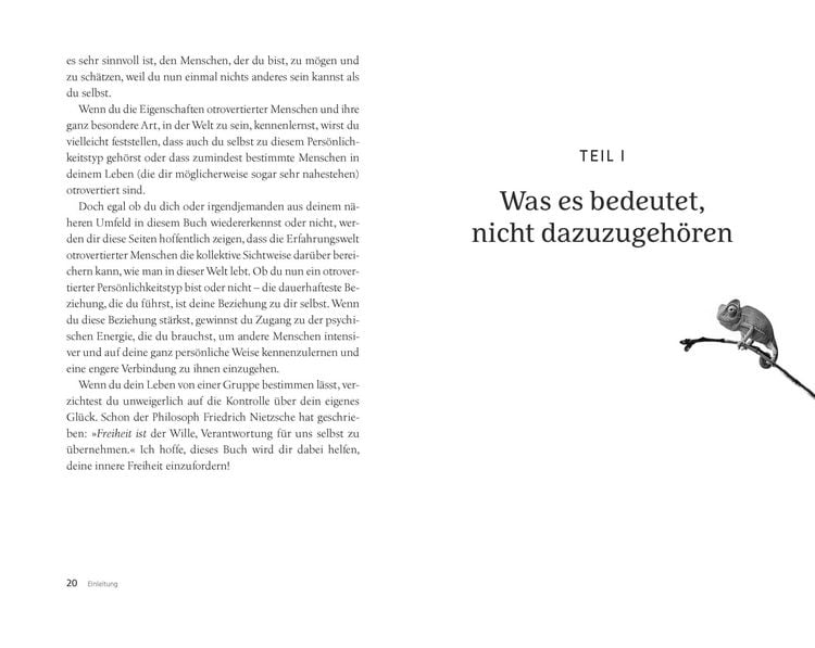 Produktbild: Wie sch&ouml;n es ist, nicht dazugeh&ouml;ren zu m&uuml;ssen