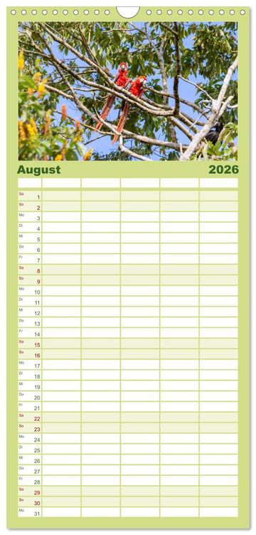 Produktbild: Familienplaner 2026 - Costa Rica - Tierwelt und Landschaften mit 5 Spalten (Wandkalender, 21 x 45 cm) CALVENDO