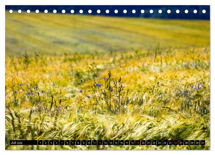 Produktbild: Sch&ouml;ne Landschaften der Oberlausitz (Tischkalender 2026 DIN A5 quer), CALVENDO Monatskalender