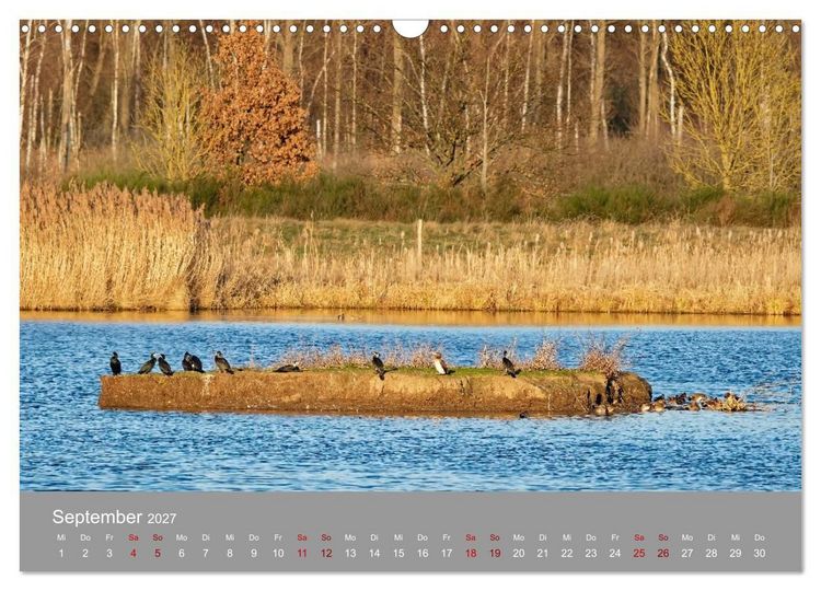 Produktbild: Naturerlebnis im Biosph&auml;renreservat Dr&ouml;mling (Wandkalender 2027 DIN A3 quer), CALVENDO Monatskalender