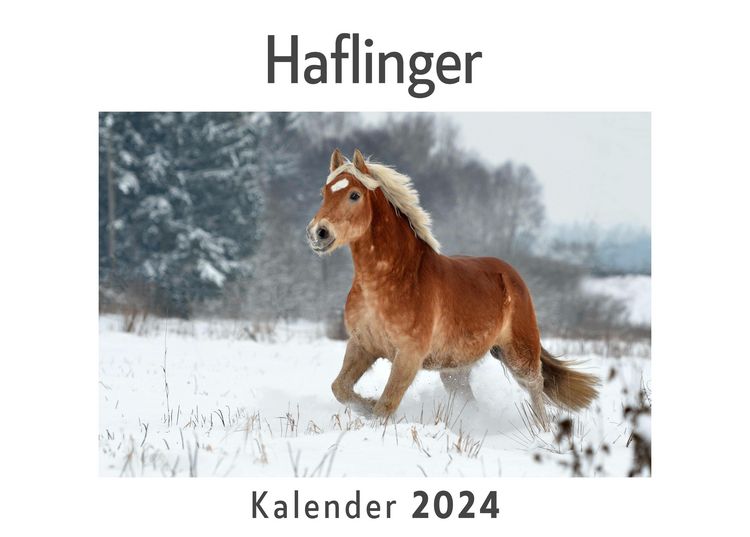 Produktbild: Haflinger (Wandkalender 2024, Kalender DIN A4 quer, Monatskalender im Querformat mit Kalendarium, Das perfekte Geschenk)