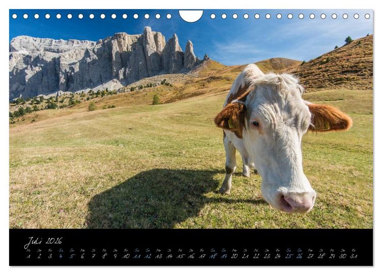 Produktbild: Dolomiten (Wandkalender 2026 DIN A4 quer), CALVENDO Monatskalender