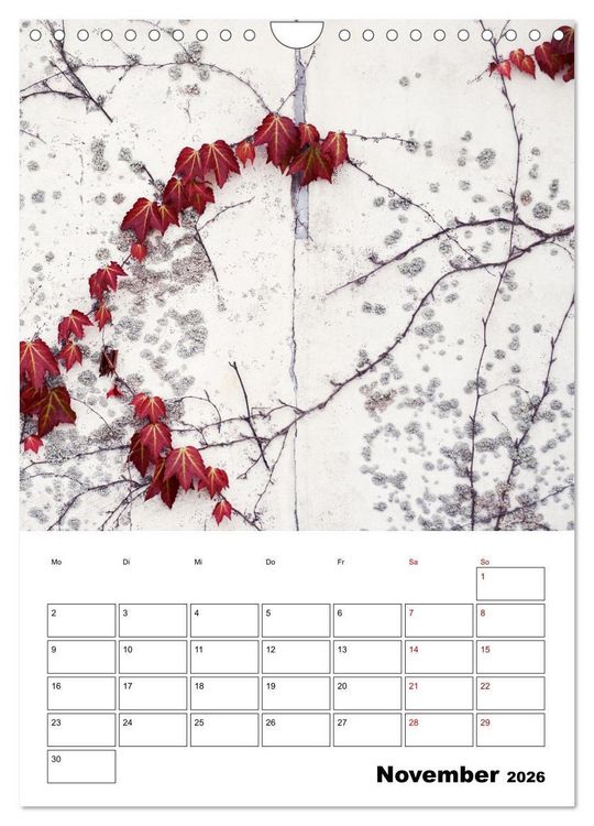 Produktbild: Mauerbl&uuml;mchen - Poesie im Allt&auml;glichen als Monatsplaner (Wandkalender 2026 DIN A4 hoch), CALVENDO Monatskalender