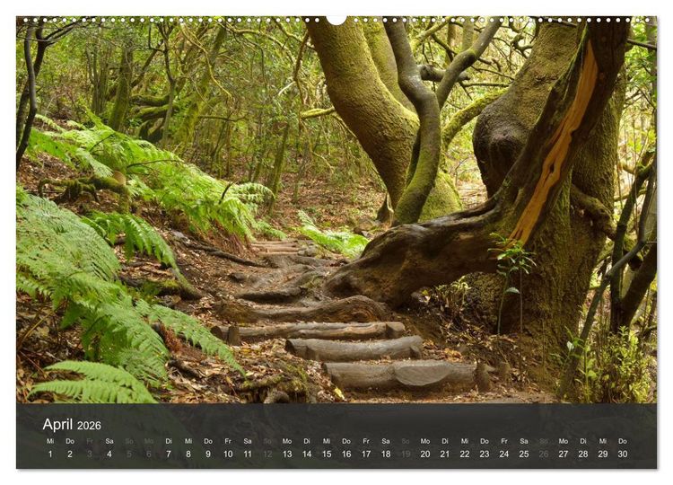 Produktbild: me gusta La Gomera (hochwertiger Premium Wandkalender 2026 DIN A2 quer), Kunstdruck in Hochglanz