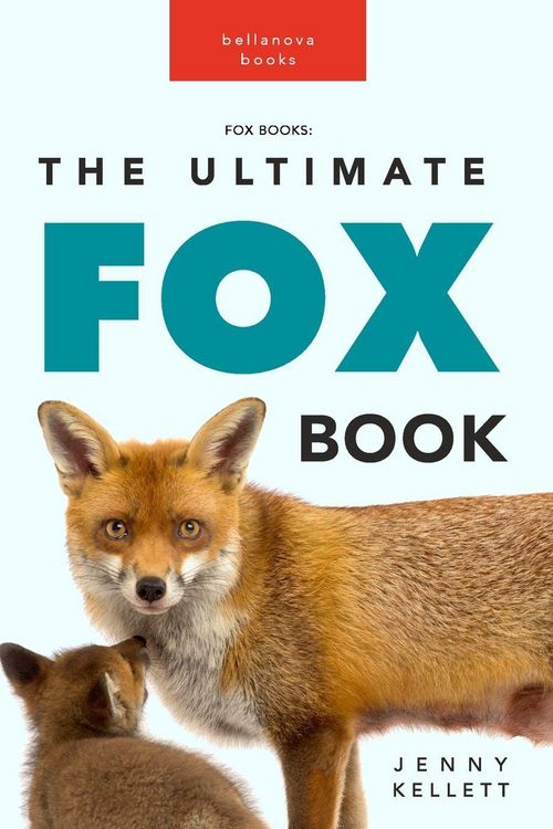 Produktbild: Fox Books