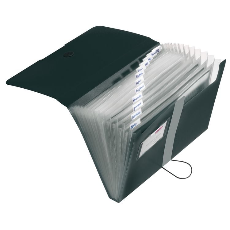Produktbild: Herlitz F&auml;chermappe A4 PP 12 F&auml;cher, schwarz