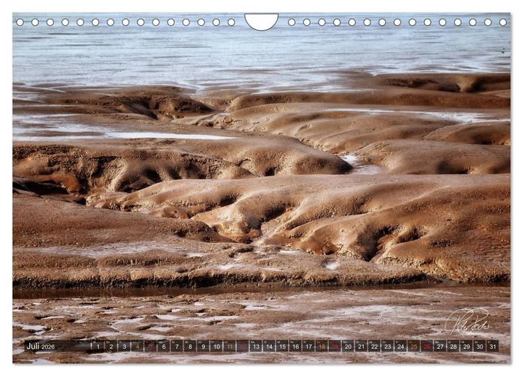 Produktbild: Friesland - Watt und Nordsee / CH-Version (Wandkalender 2026 DIN A4 quer), CALVENDO Monatskalender