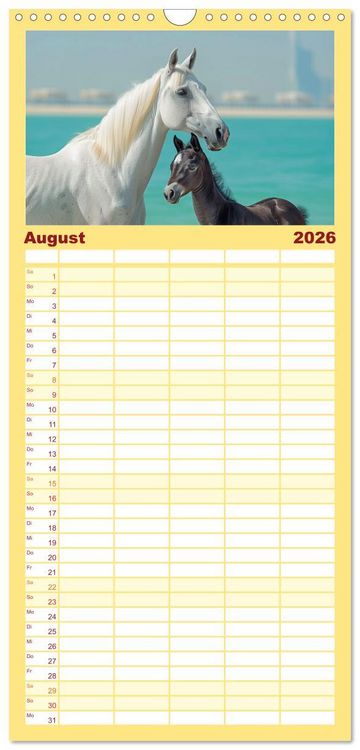 Produktbild: Familienplaner 2026 - Bezaubernde Eleganz wei&szlig;er Pferde mit 5 Spalten (Wandkalender, 21 x 45 cm) CALVENDO