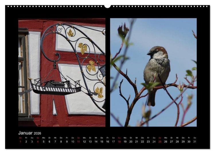 Produktbild: Ulmer Spatzen (hochwertiger Premium Wandkalender 2026 DIN A2 quer), Kunstdruck in Hochglanz