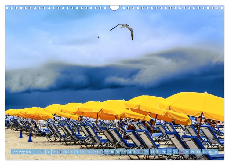 Produktbild: Florida &ndash; sunny beaches and mysterious swamps (Wall Calendar 2026 DIN A3 landscape), CALVENDO 12 Month Wall Calendar