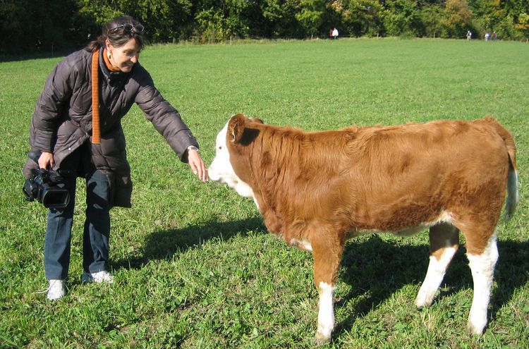 Produktbild: Im Namen der Tiere