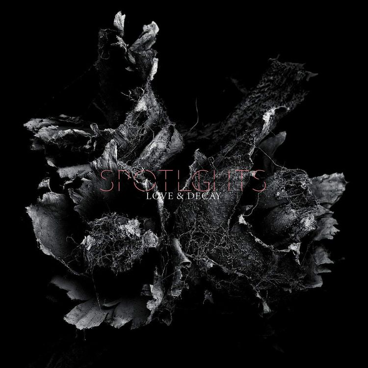 Produktbild: Love & Decay (2LP,Hellviolette)