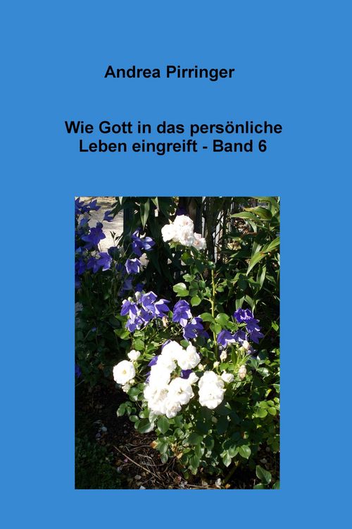 Produktbild: Wie Gott in das pers&ouml;nliche Leben eingreift - Band 6