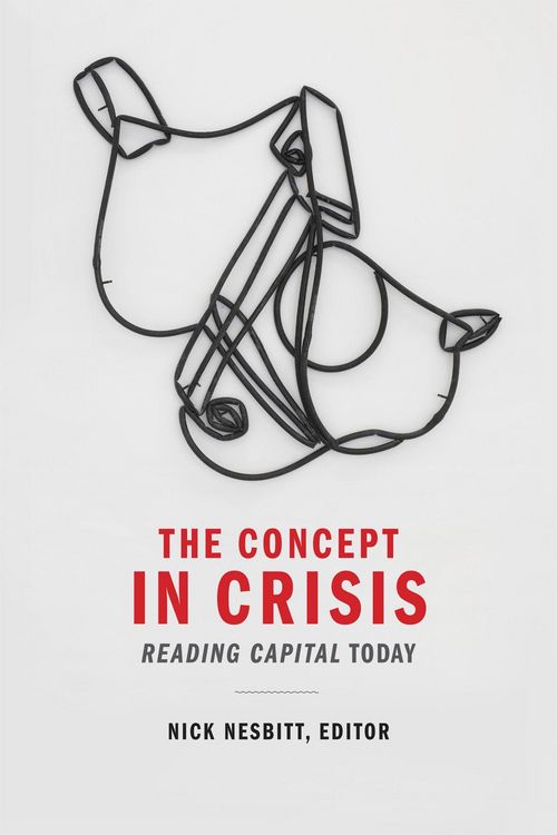 Produktbild: The Concept in Crisis