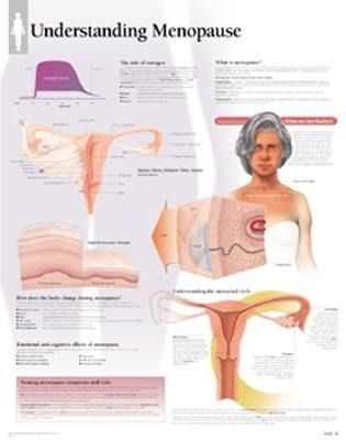 Produktbild: Understanding Menopause Chart