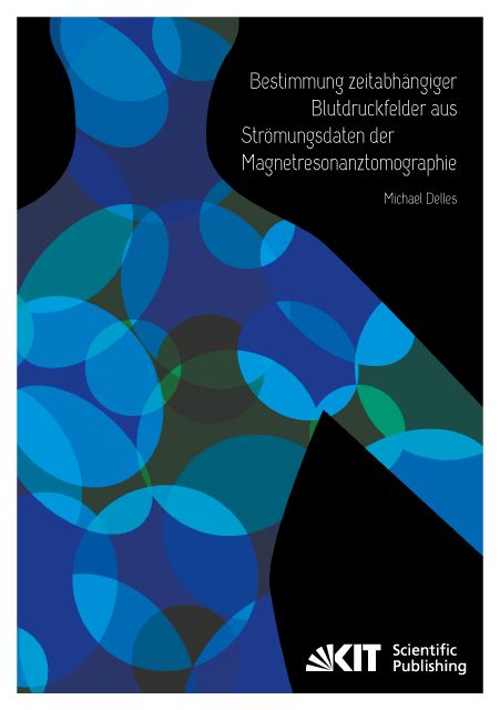 Produktbild: Bestimmung zeitabh&auml;ngiger Blutdruckfelder aus Str&ouml;mungsdaten der Magnetresonanztomographie