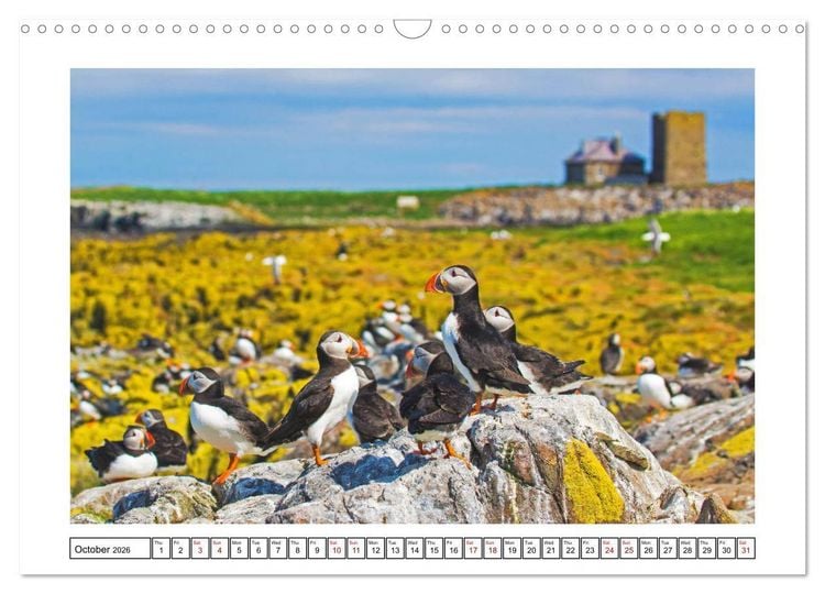Produktbild: Enchanting England (Wall Calendar 2026 DIN A3 landscape), CALVENDO 12 Month Wall Calendar
