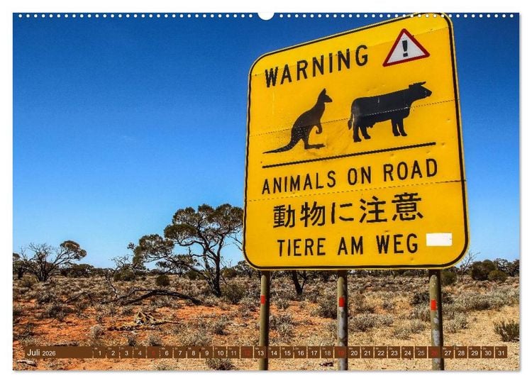 Produktbild: Outback Life - Australien (Wandkalender 2026 DIN A2 quer), CALVENDO Monatskalender