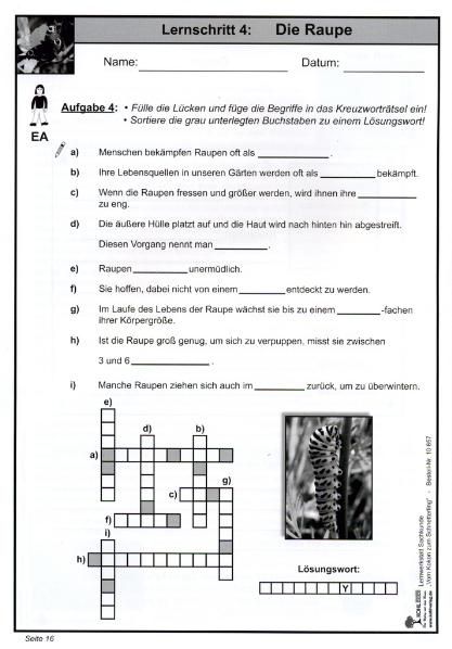 Produktbild: Lernwerkstatt Schmetterlinge