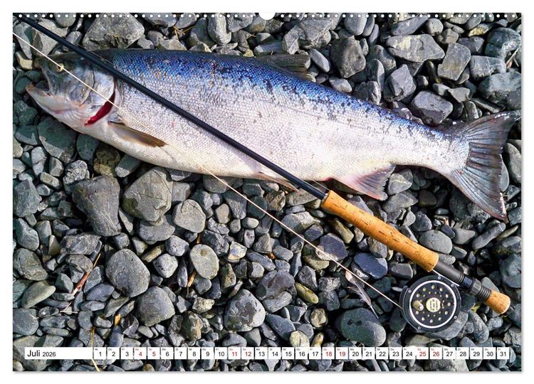 Produktbild: Anglergl&uuml;ck - den Fisch am Haken (Wandkalender 2026 DIN A2 quer), CALVENDO Monatskalender
