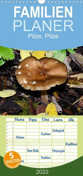 Produktbild: Familienplaner Pilze, Pilze (Wandkalender 2022 , 21 cm x 45 cm, hoch)