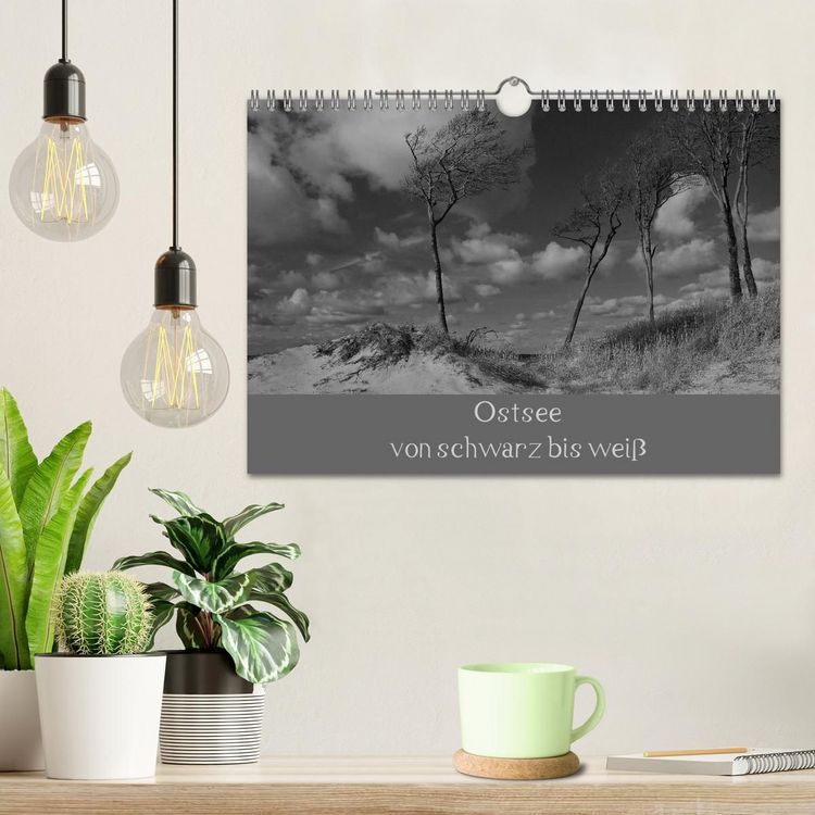 Produktbild: Ostsee - von schwarz bis wei&szlig; (Wandkalender 2027 DIN A4 quer), CALVENDO Monatskalender