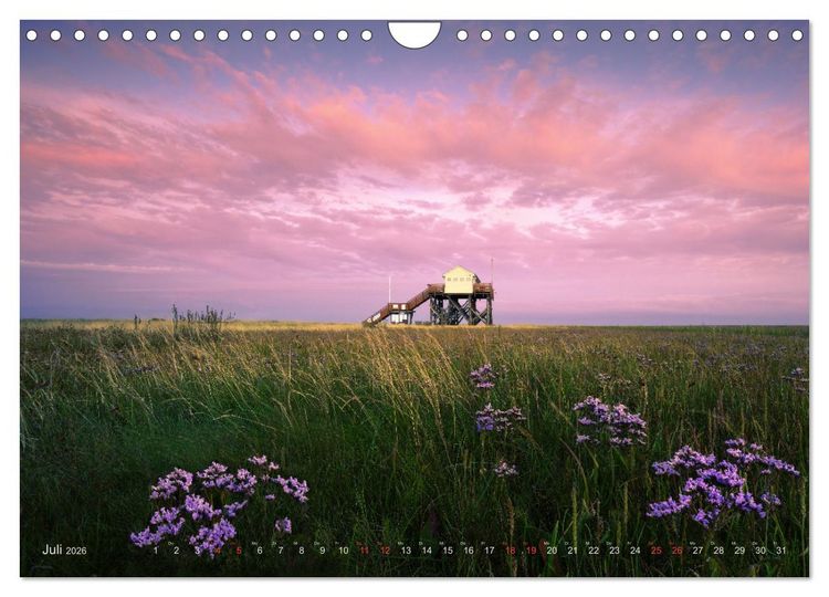 Produktbild: Wundersch&ouml;nes Eiderstedt (Wandkalender 2026 DIN A4 quer), CALVENDO Monatskalender