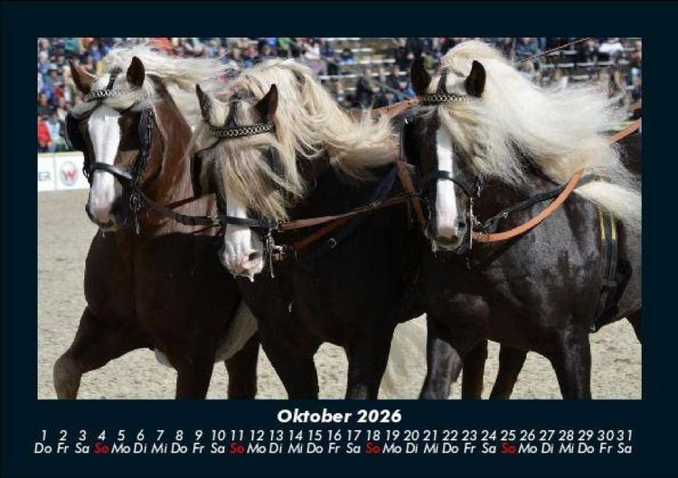 Produktbild: Die Welt der Pferde 2026 Fotokalender DIN A5