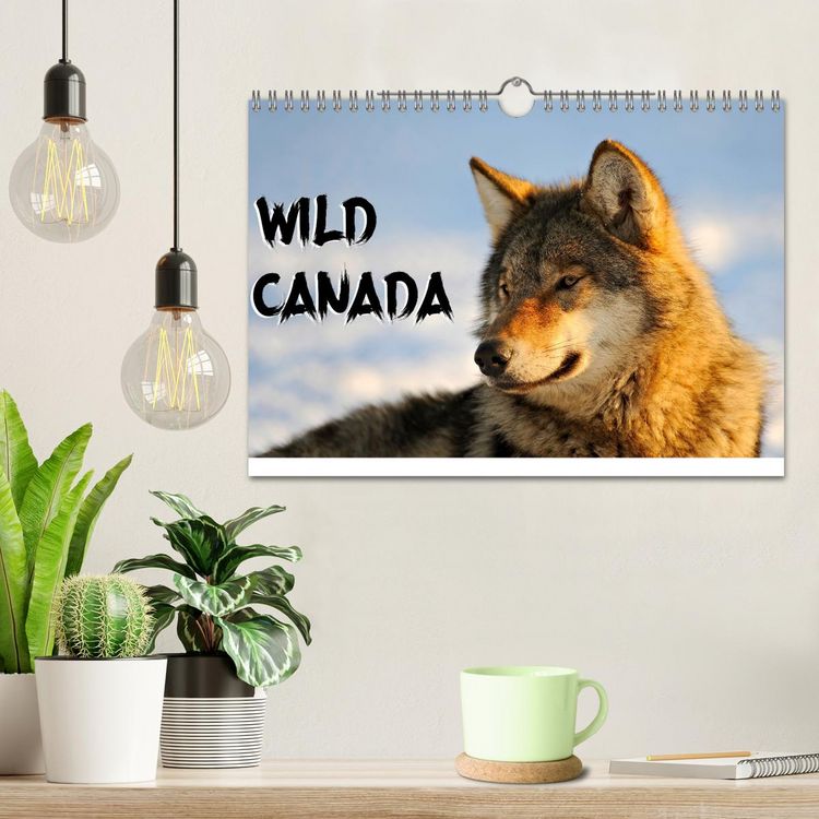 Produktbild: Wild Canada (Wall Calendar 2026 DIN A4 landscape), CALVENDO 12 Month Wall Calendar