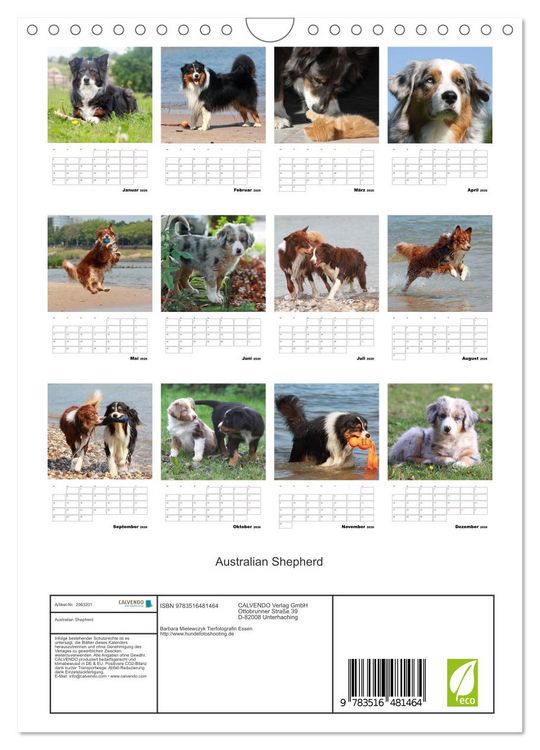 Produktbild: Australian Shepherd (Wandkalender 2026 DIN A4 hoch), CALVENDO Monatskalender