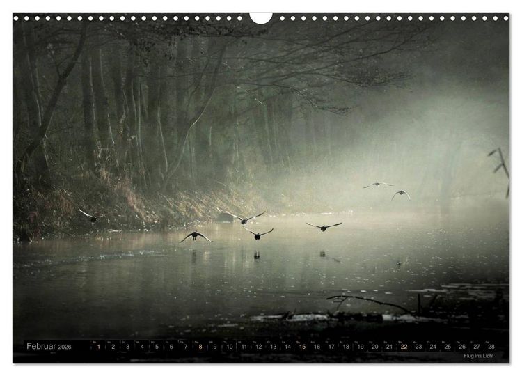 Produktbild: Traumlandschaften 2026 (Wandkalender 2026 DIN A3 quer), CALVENDO Monatskalender