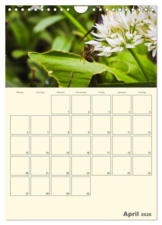 Produktbild: Bienen im Naturgarten (Wandkalender 2026 DIN A4 hoch), CALVENDO Monatskalender