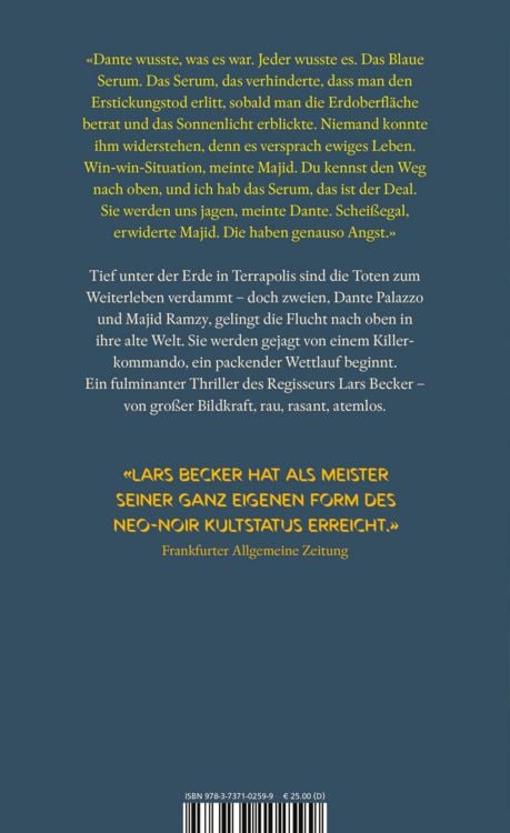 Produktbild: Es wird Steine regnen