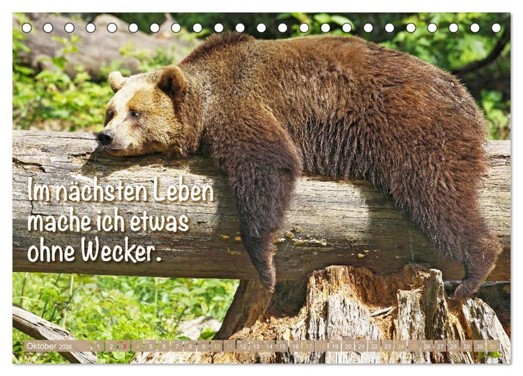 Produktbild: Spa&szlig; mit B&auml;ren: Edition lustige Tiere (Tischkalender 2026 DIN A5 quer), CALVENDO Monatskalender