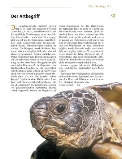 Produktbild: Die Breitrandschildkr&ouml;te