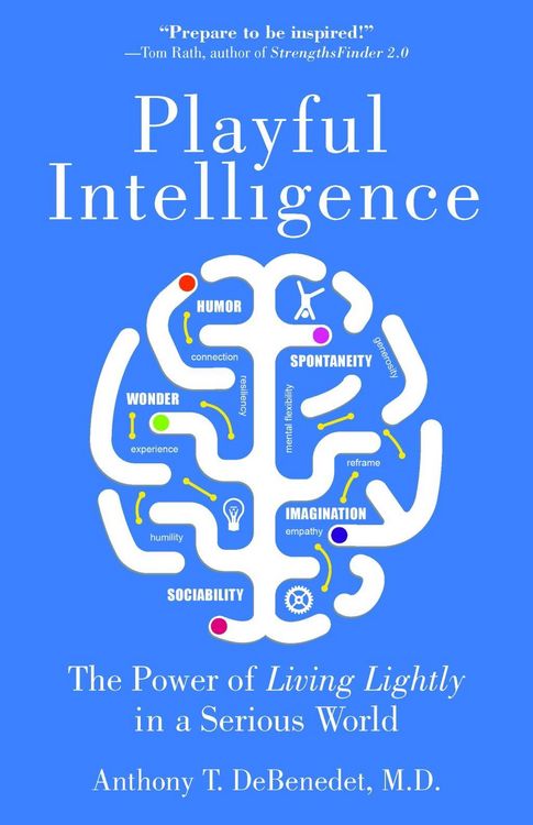 Produktbild: Playful Intelligence