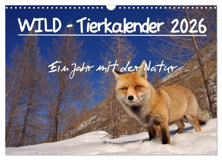 Produktbild: WILD - Tierkalender 2026 (Wandkalender 2026 DIN A3 quer), CALVENDO Monatskalender