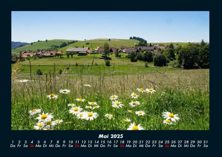 Produktbild: Blumenkalender 2025 Fotokalender DIN A4
