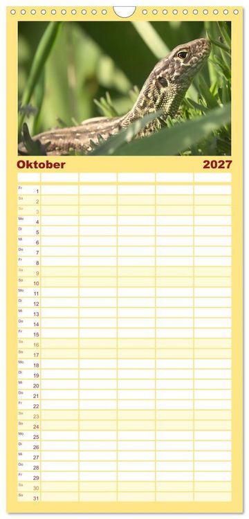 Produktbild: Familienplaner 2027 - Minisaurier im Garten mit 5 Spalten (Wandkalender, 21 x 45 cm) CALVENDO