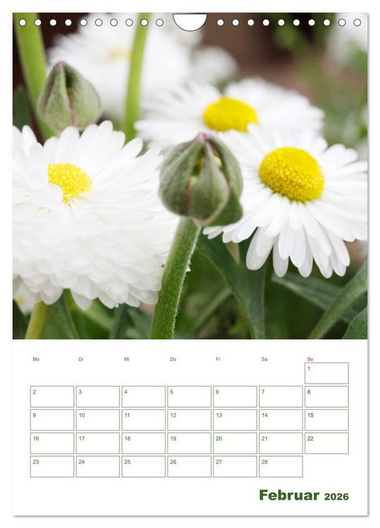 Produktbild: Wei&szlig;e Bl&uuml;ten im Gr&uuml;nen (Wandkalender 2026 DIN A4 hoch), CALVENDO Monatskalender