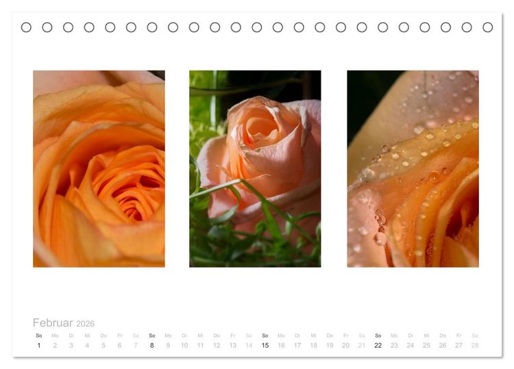 Produktbild: Blumen Trilogien (Tischkalender 2026 DIN A5 quer), CALVENDO Monatskalender