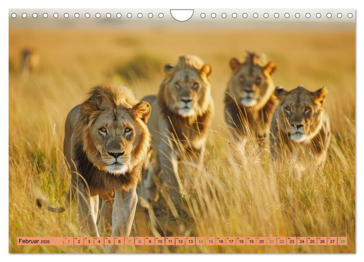 Produktbild: Afrikas urt&uuml;mliche Sch&ouml;nheit (Wandkalender 2026 DIN A4 quer), CALVENDO Monatskalender