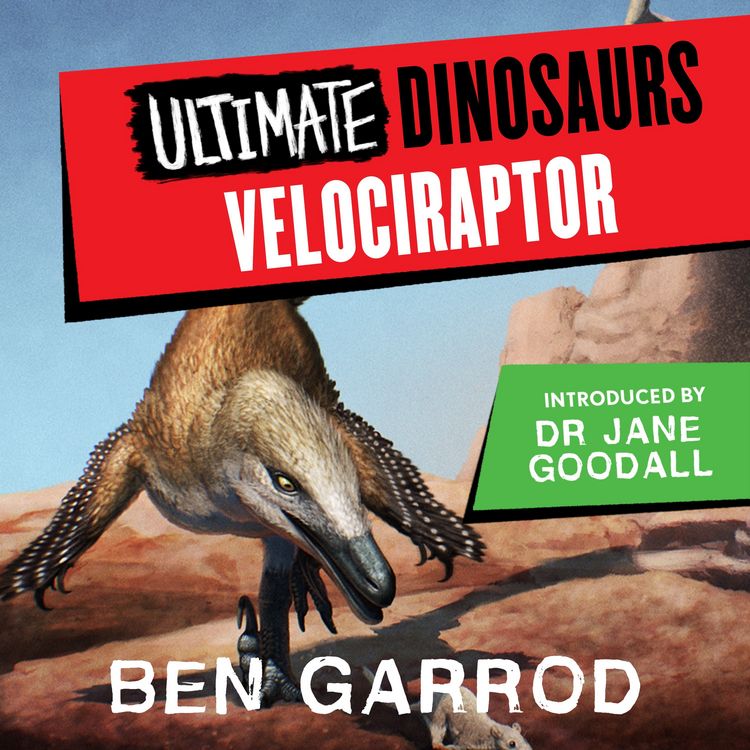 Produktbild: Velociraptor