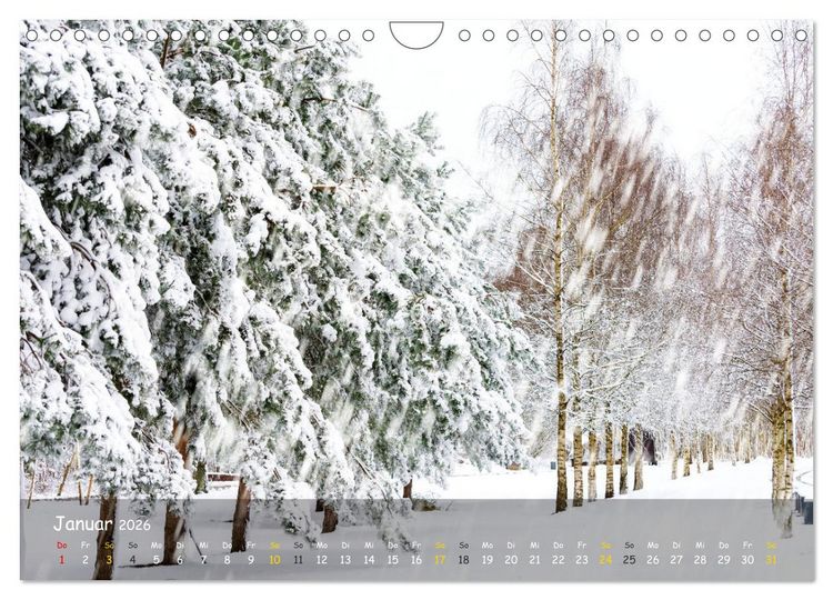 Produktbild: Zauberhaftes Norderstedt (Wandkalender 2026 DIN A4 quer), CALVENDO Monatskalender