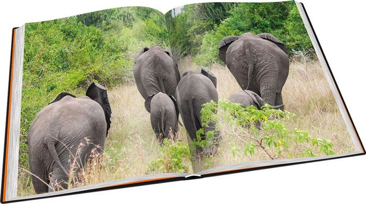 Produktbild: Perle Afrikas