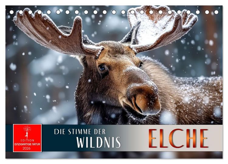 Produktbild: Elche - die Stimme der Wildnis (Tischkalender 2026 DIN A5 quer), CALVENDO Monatskalender