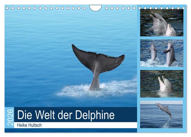 Produktbild: Die Welt der Delphine (Wandkalender 2026 DIN A4 quer), CALVENDO Monatskalender