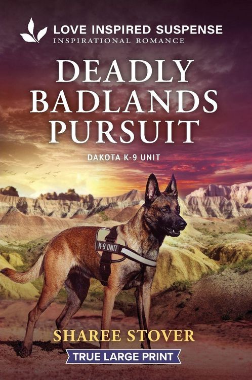 Produktbild: Deadly Badlands Pursuit