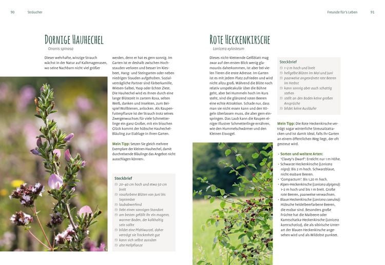 Produktbild: Heimische Pflanzen für den Garten