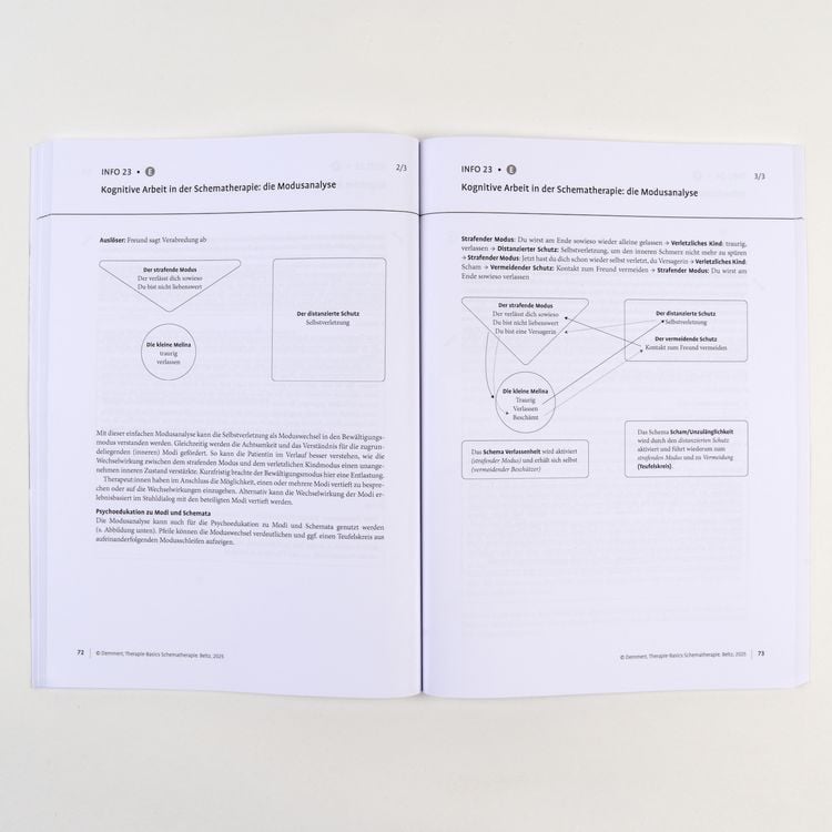 Produktbild: Therapie-Basics Schematherapie